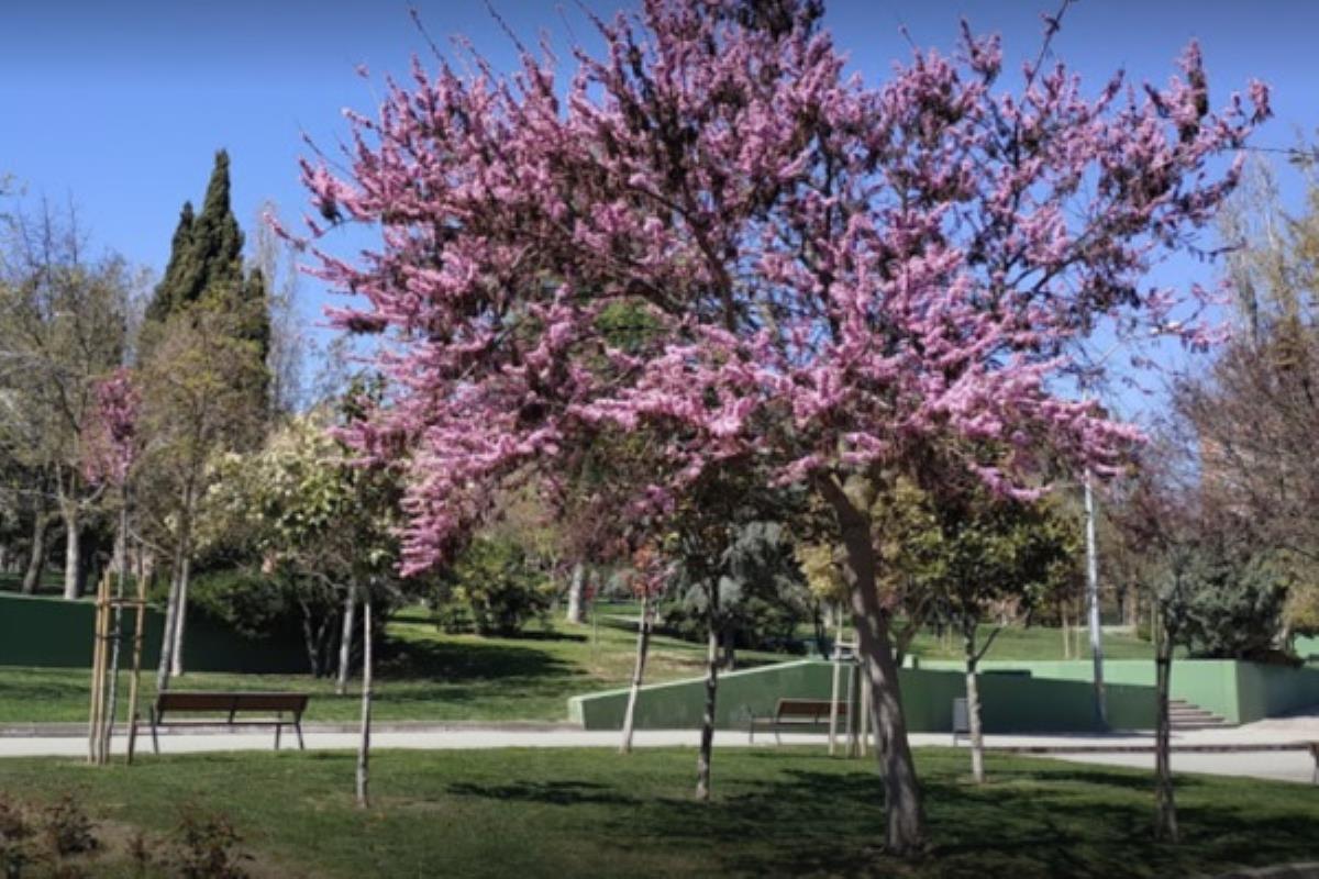 El Ayuntamiento de Fuenlabrada abrirá los parques urbanos con ciertas limitaciones