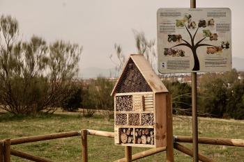 La nueva medida pretende acoger a diversas especies que contribuyen a la polinización y el control de plagas