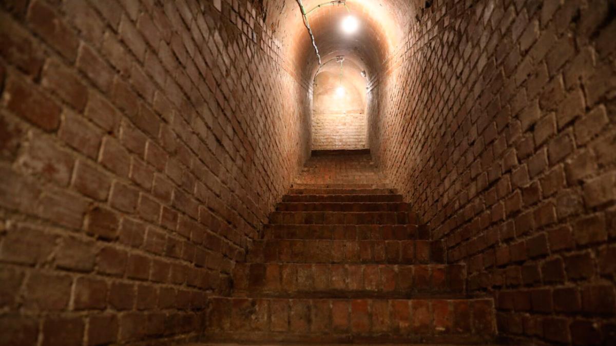 Los pases serán gratuitos y contarán con las explicaciones y datos de expertos