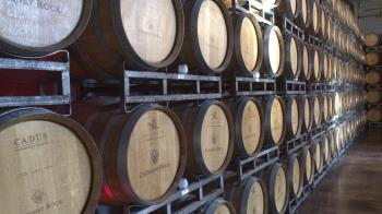 El evento ofrecerá distintas actividades relacionadas con el vino y la gastronomía