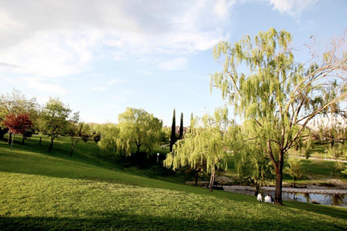 31 zonas verdes por las que los menores de 14 pueden disfrutar desde el pasado domingo
