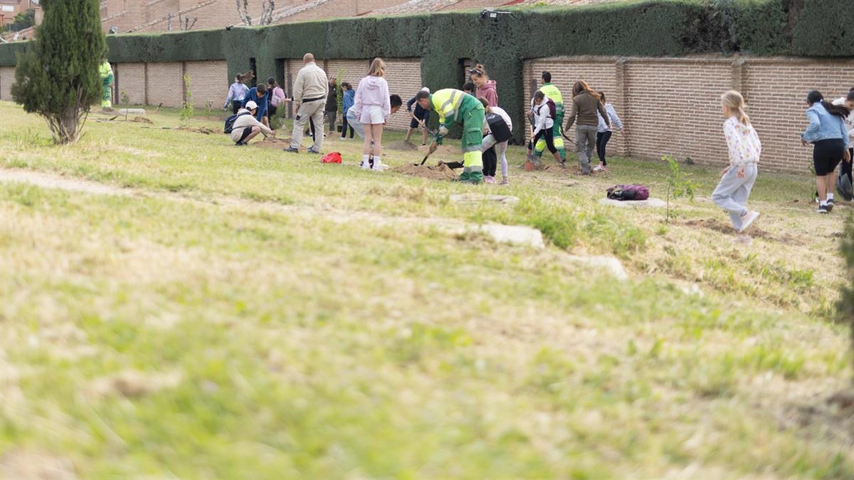 Alumnos del Ceip José Bergamín se unen a la plantación en Valdepastores
