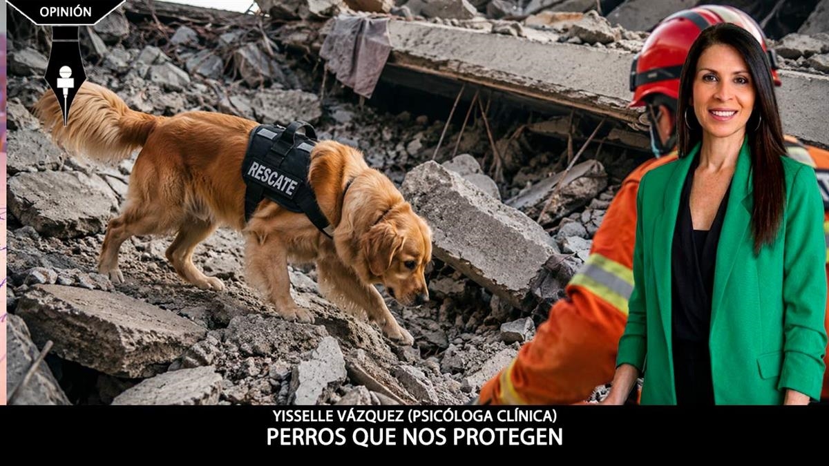 Artículo de Yisselle Vázquez 