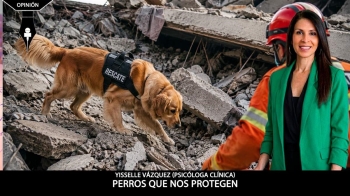 Los perros que nos protegen