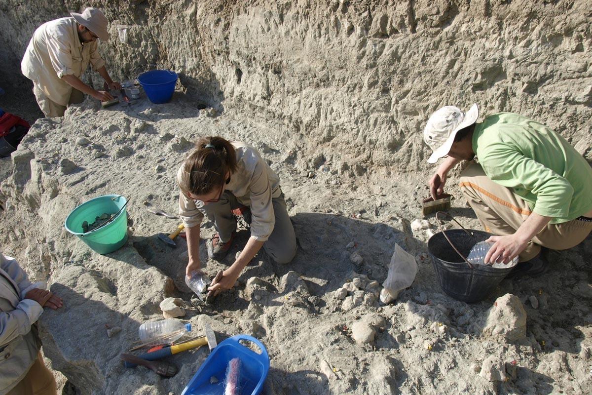 Según una investigación en la que participa la Universidad de Alcalá y que se desarrolla en la garganta de Olduvai, en Tanzania.