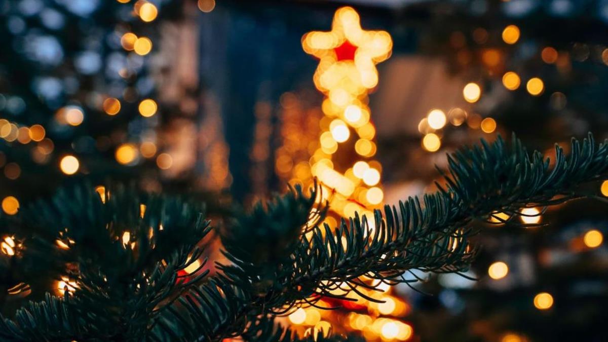 El abeto de la Gran Vía tendrá una altura cercana a los diecisiete metros