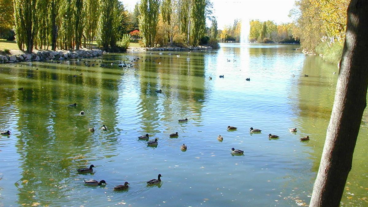 Más Madrid lleva al próximo Pleno una moción para la remodelación integral del Parque Natural de El Soto 