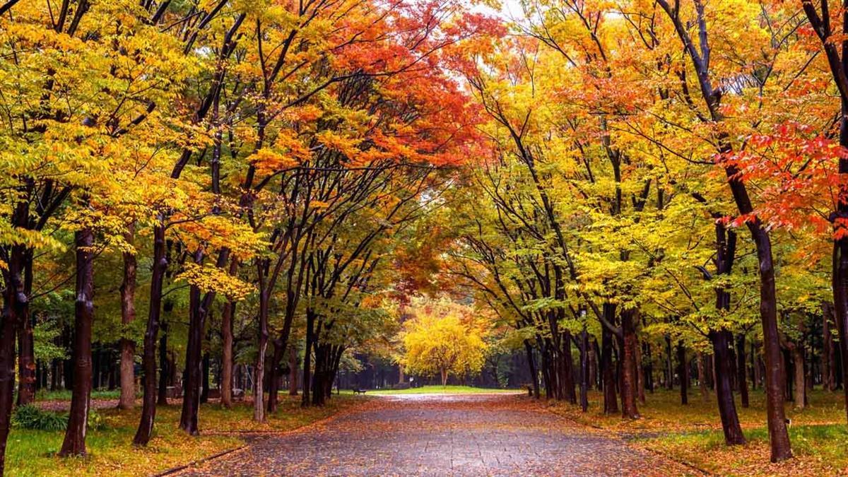 Aquí te dejamos una lista de planes que te van a encantar