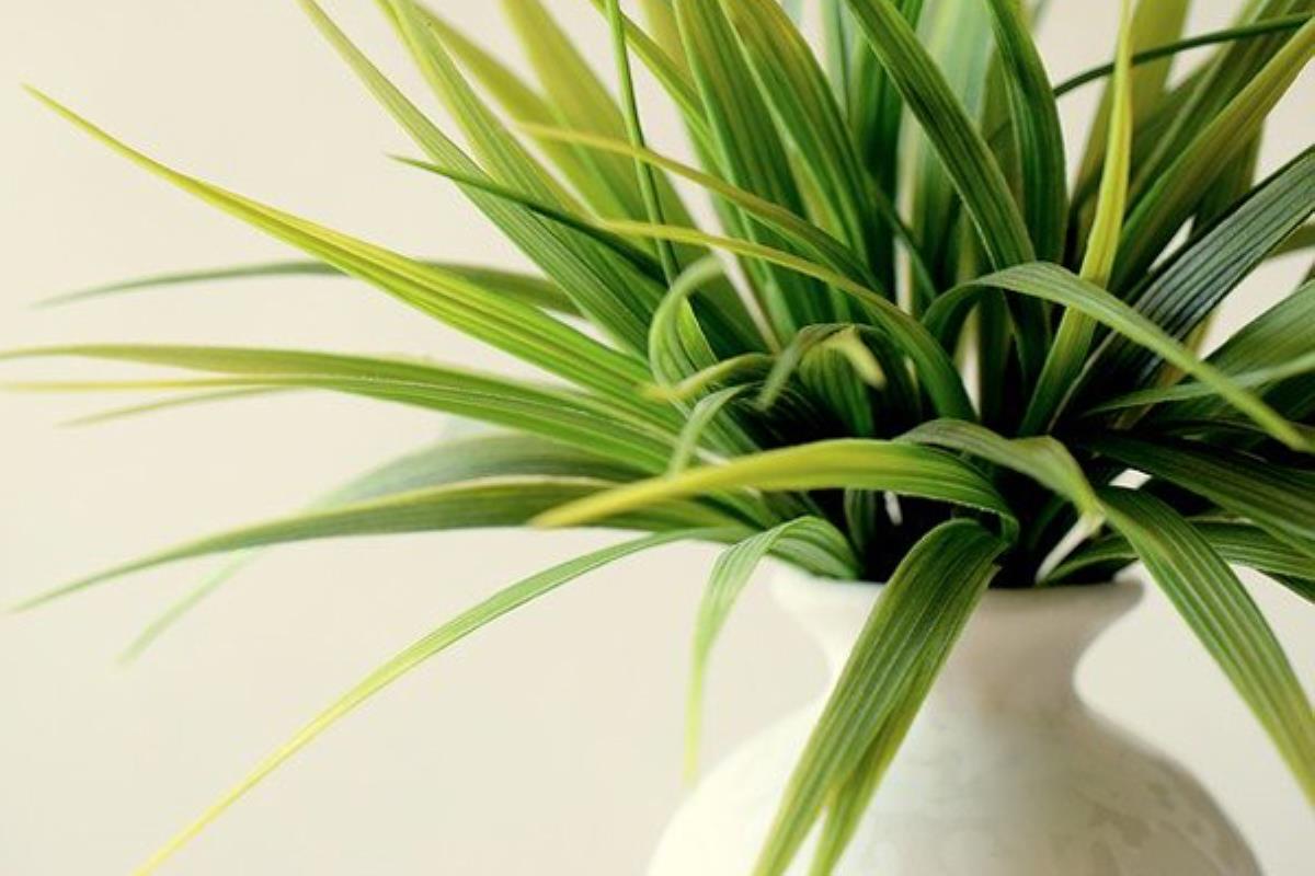 Las nuevas tecnologías te ayudan a mantener tus plantas frondosas y sanas con menos esfuerzo