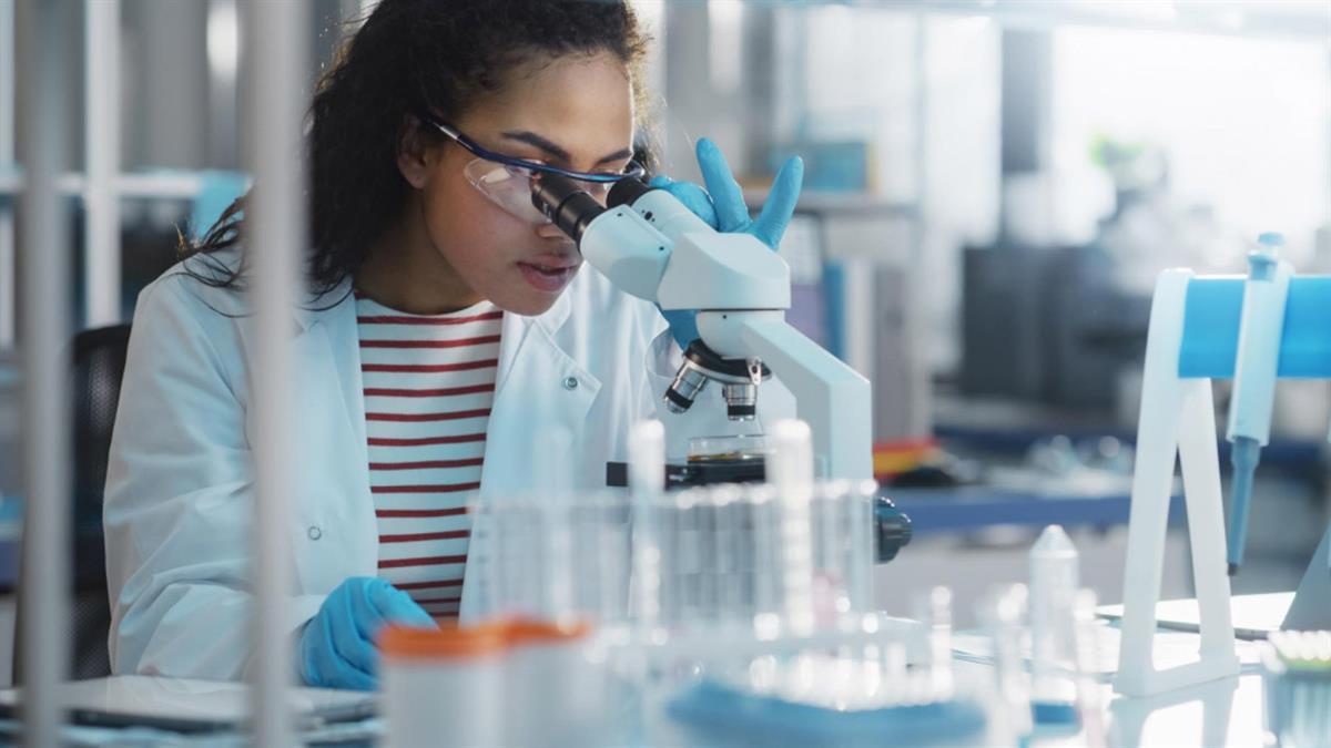 Cerca de 30 instituciones organizan talleres para conocer la labor científica