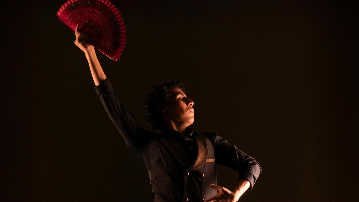 El Gobierno regional ha iniciado los trámites para que se establezca en el plan de estudios