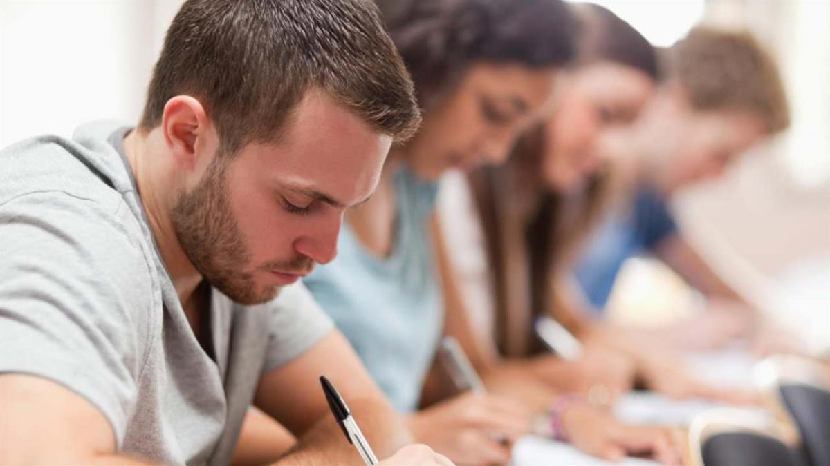 Desarrollo de videojuegos y realidad virtual o cultivos celulares son algunos de ellos 