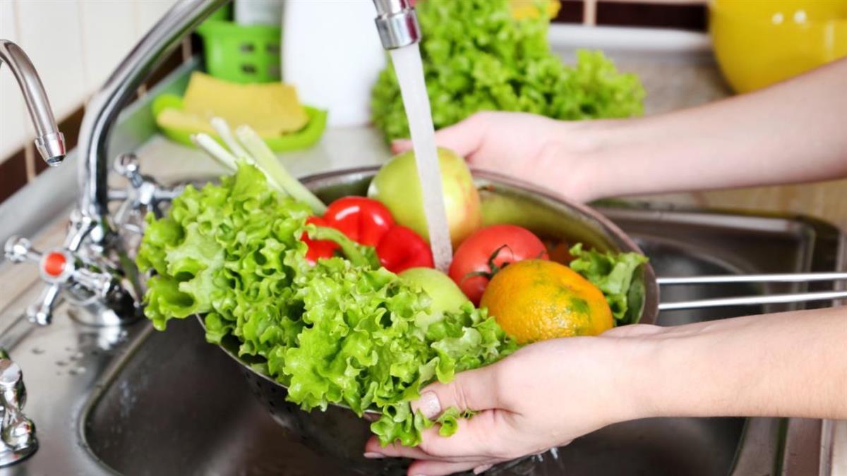 La Comunidad de Madrid pone en marcha el proyecto GutPlantHealth