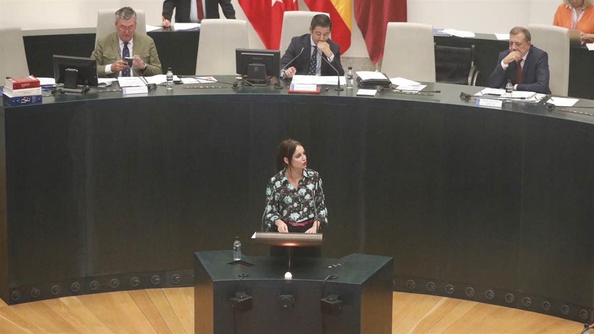 El Ayuntamiento nombrará Hijo Adoptivo de Madrid al novelista vasco, que retrató el ambiente madrileño en algunas de sus novelas 