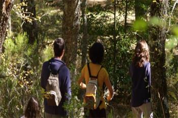 Tres itenerarios diferentes adaptados para todos los públicos