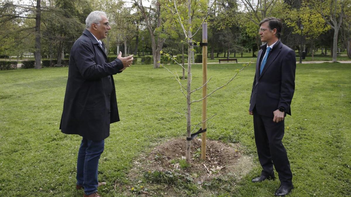 Con la plantación de más de 600 ejemplares