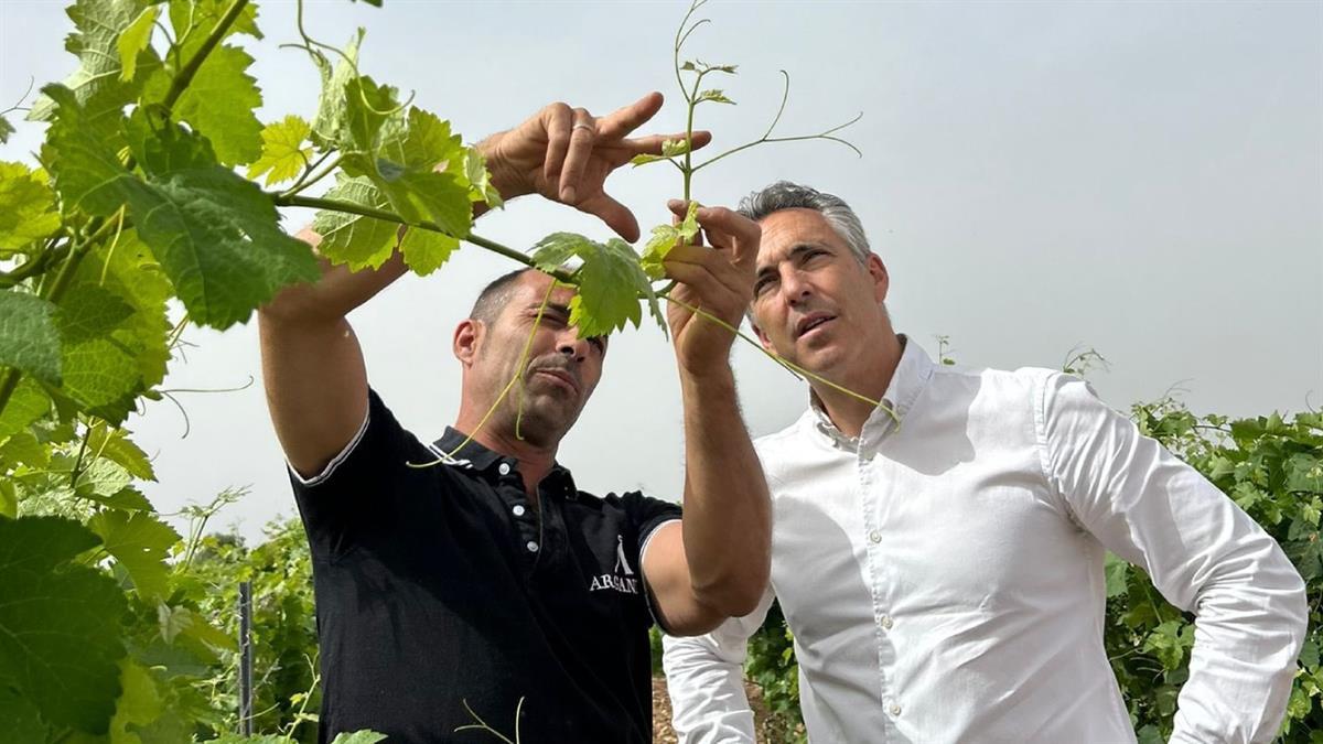 A través del IMIDRA, los investigadores buscan que las nuevas especies sean más resistentes