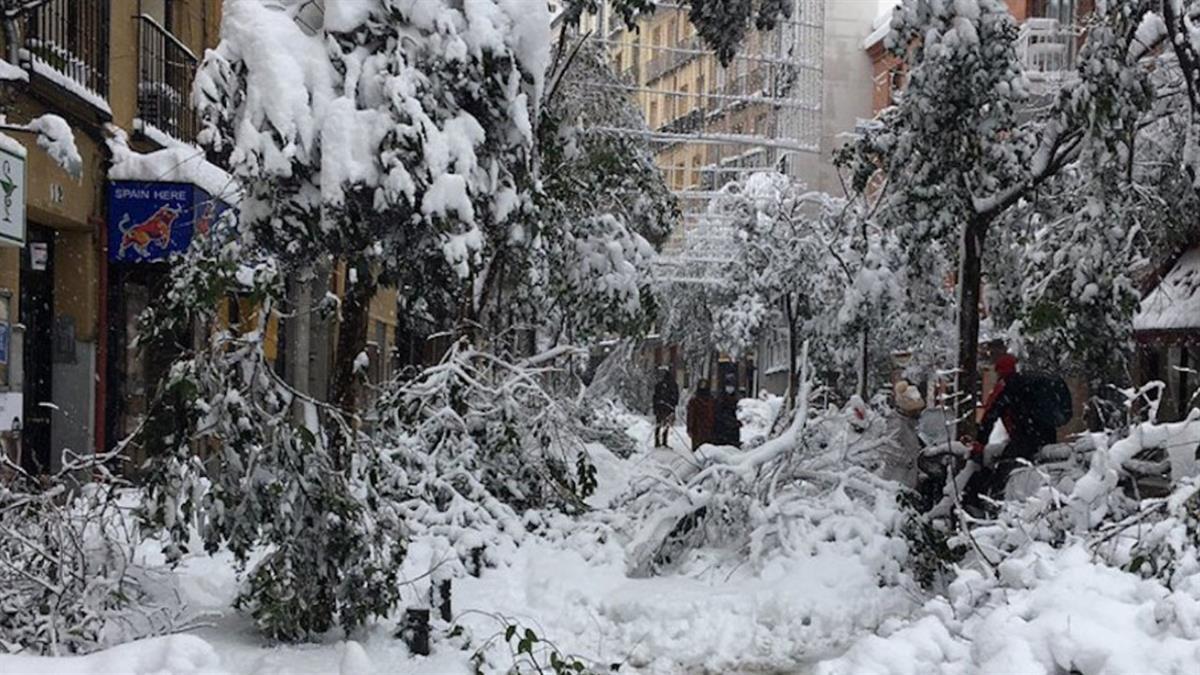 El Ayuntamiento ha compartido su Plan Nevada 2021-2022