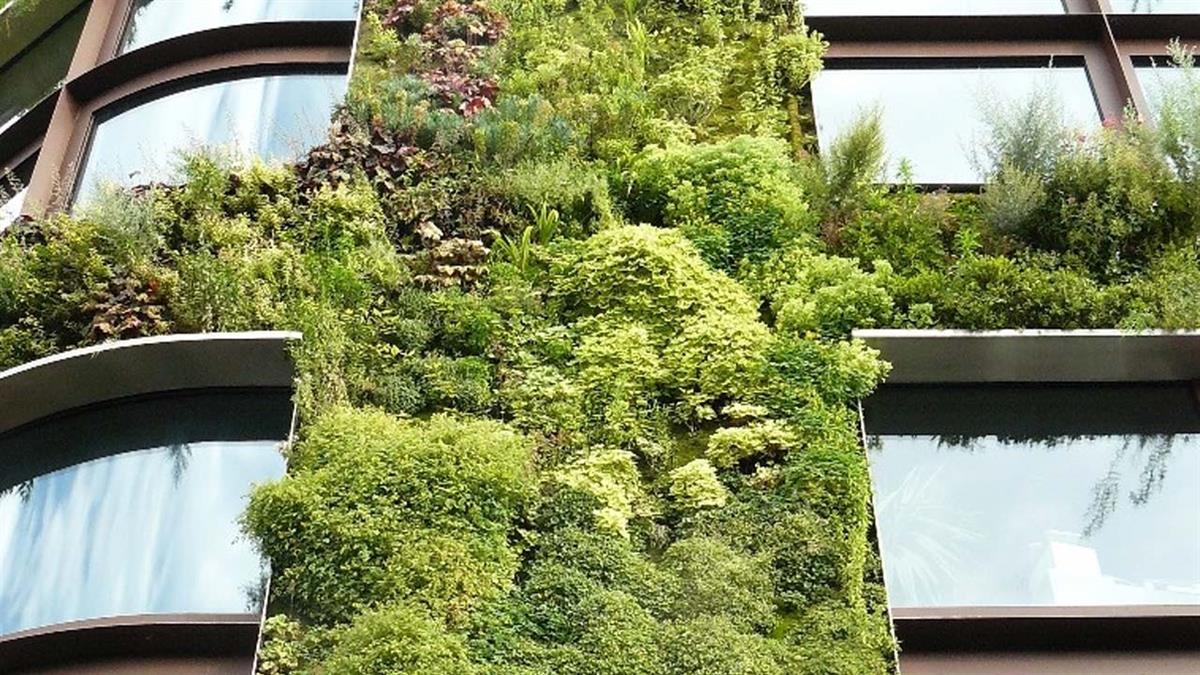 Bruselas destaca que la capital está allanando el camino para que otras urbes de la Unión Europea avancen más rápido hacia una transición verde y digital justa