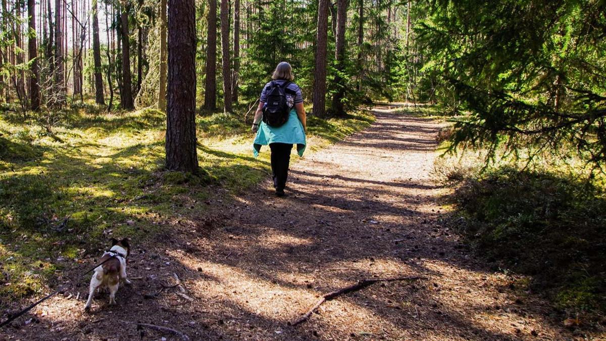 La caminata se celebra por el día de San Antón