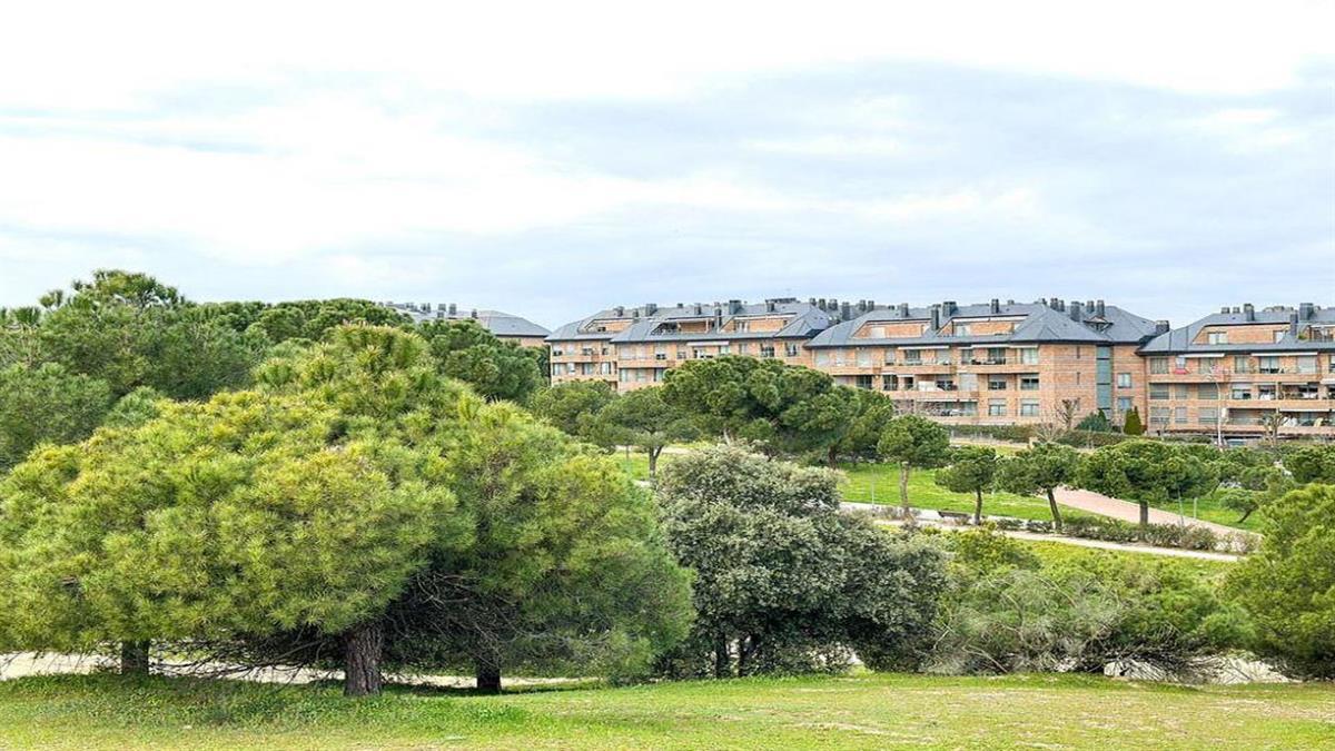 El municipio cumple todos los requisitos exigidos por Arbor Day Fundation