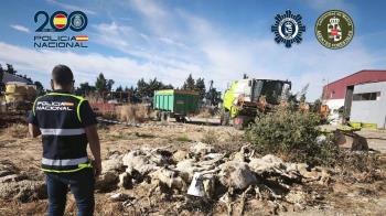 Los animales mostraban afecciones respiratorias, cojeras, inflamación e infección de las mamas