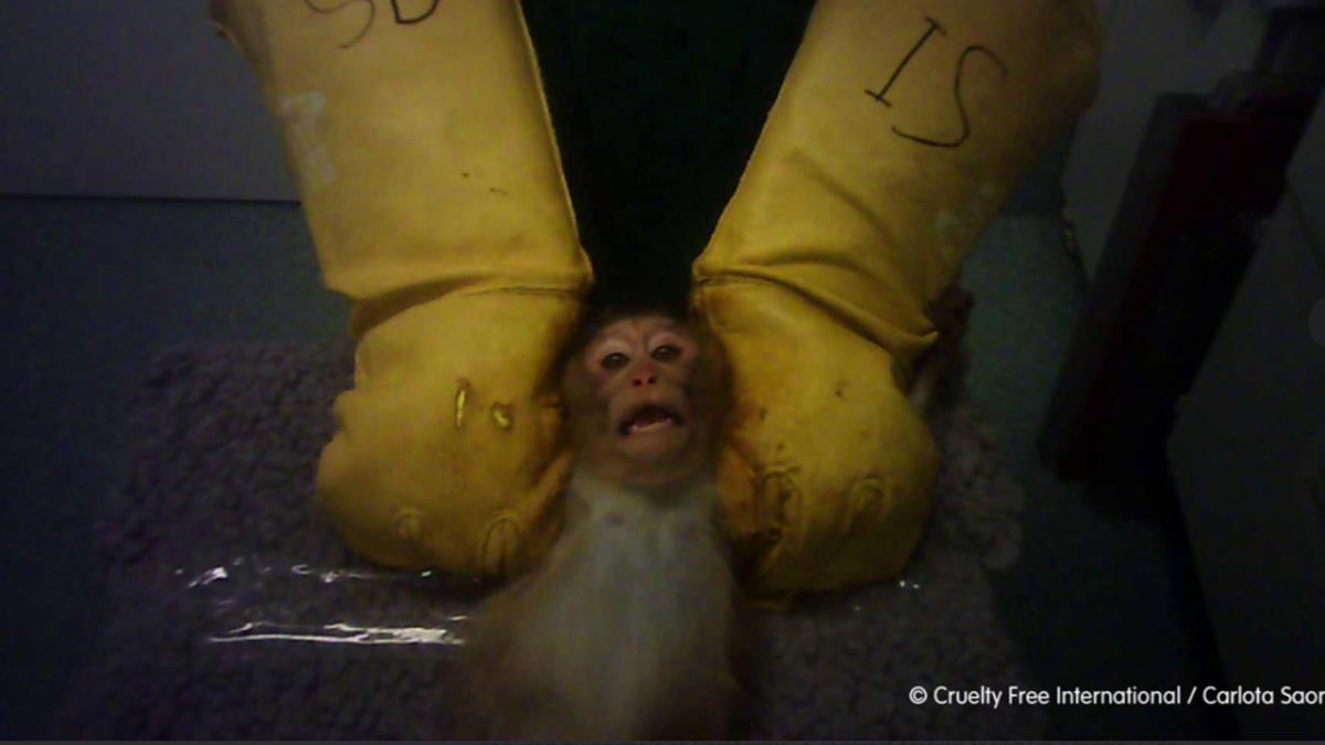 La Comunidad de Madrid ha suspendido su actividad y ha mandado una inspección para comprobar los hechos