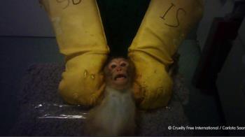 La Comunidad de Madrid ha suspendido su actividad y ha mandado una inspección para comprobar los hechos