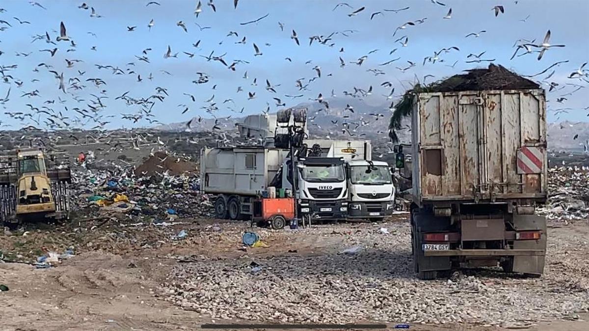 Los socialistas tricantinos denuncian en convenio firmado entre la Mancomunidad de Residuos y el municipio vecino