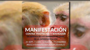 Bajo el lema #RescateVivotecnia, asociaciones y ciudadanos se unen para luchar contra el maltrato animal