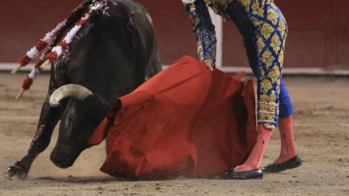 Varias asociaciones protestan contra el regreso de los toros tras más de 10 años sin celebrarse
