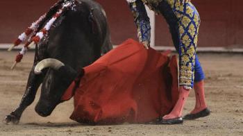 Varias asociaciones protestan contra el regreso de los toros tras más de 10 años sin celebrarse