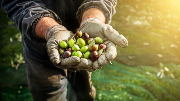 “Una misma cuadrilla ya no dura toda la campaña”