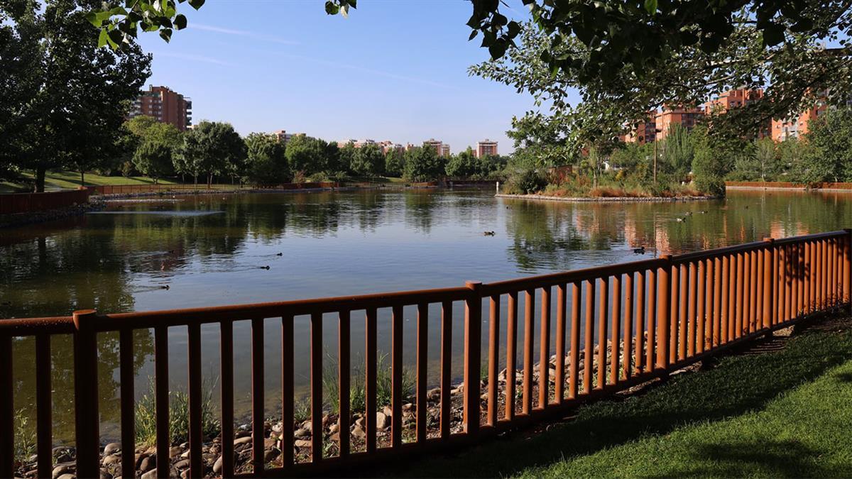 Se están realizando en distintos puntos de la ciudad durante los meses de verano