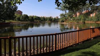 Se están realizando en distintos puntos de la ciudad durante los meses de verano