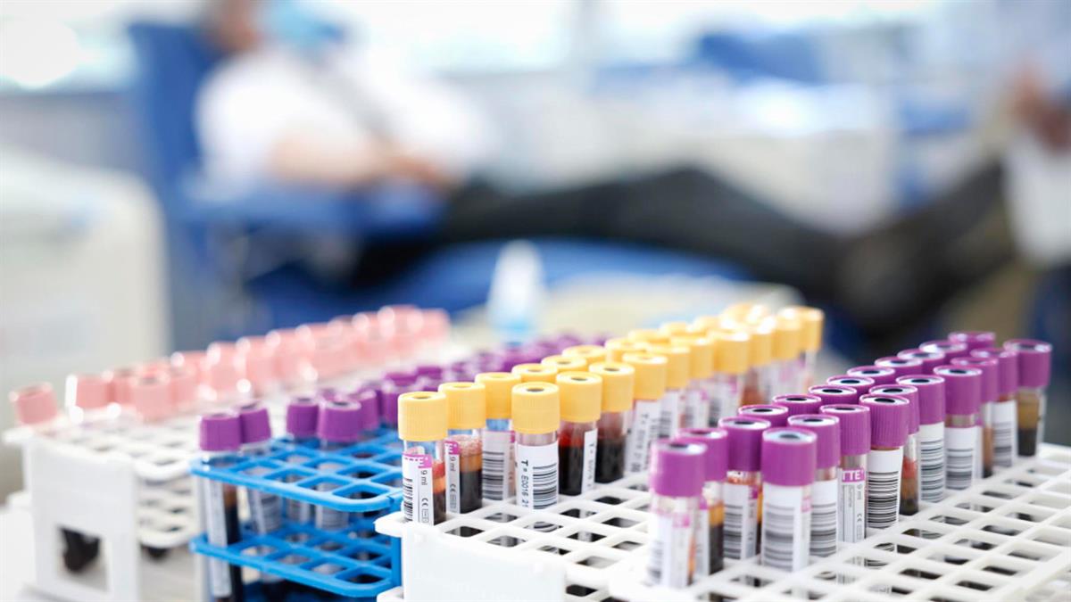 Se celebrará los próximos días 20, 21 y 22 de enero, en horario ininterrumpido de 9:00 a 20:00 horas