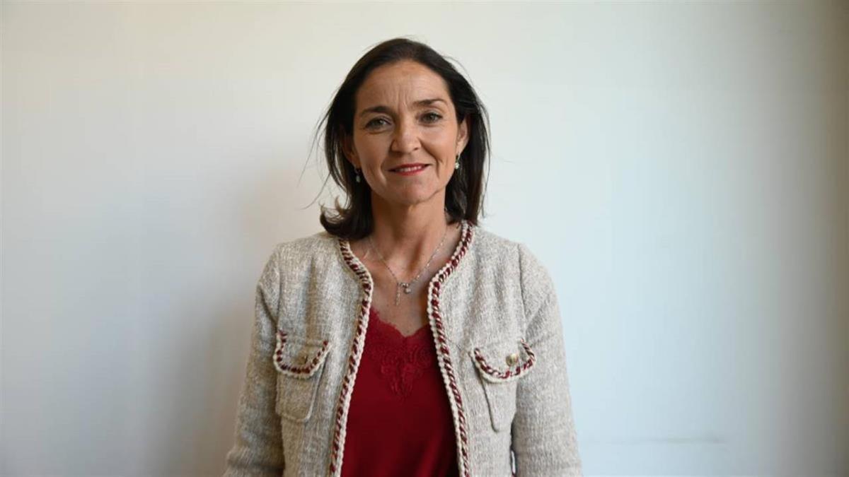 Almeida asegura que van a “perseguir todas las viviendas ilegales”