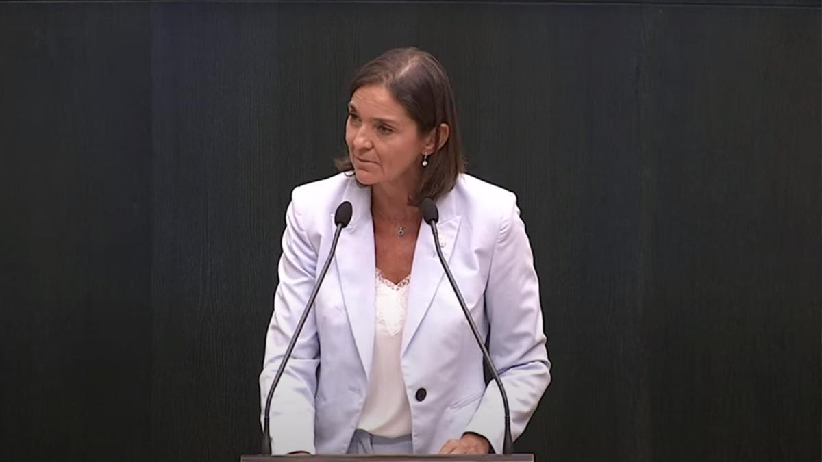 La portavoz socialista habla durante el pleno