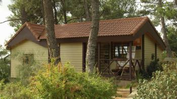 Todos los interesados podrán participar inscribiéndose previamente