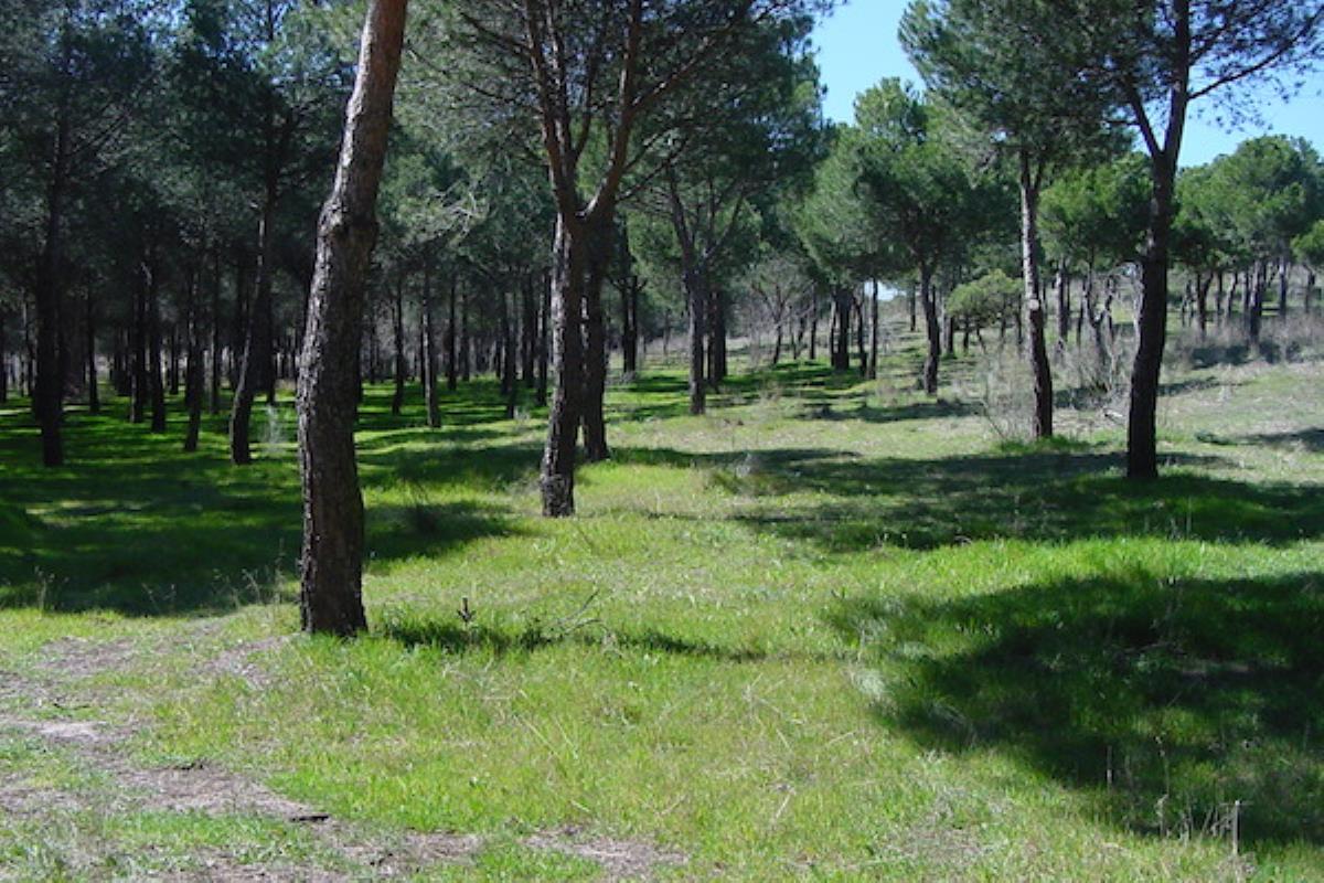 El ayuntamiento tiene que hacer frente a las sentencias "por los errores de la legislatura anterior"