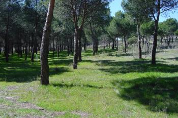 El ayuntamiento tiene que hacer frente a las sentencias "por los errores de la legislatura anterior"