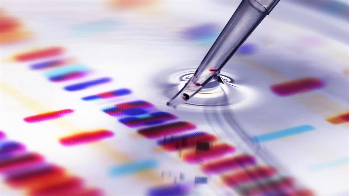 Estas ayudas tienen como objetivo aumentar la competitividad de las universidades y centros de investigación de la región