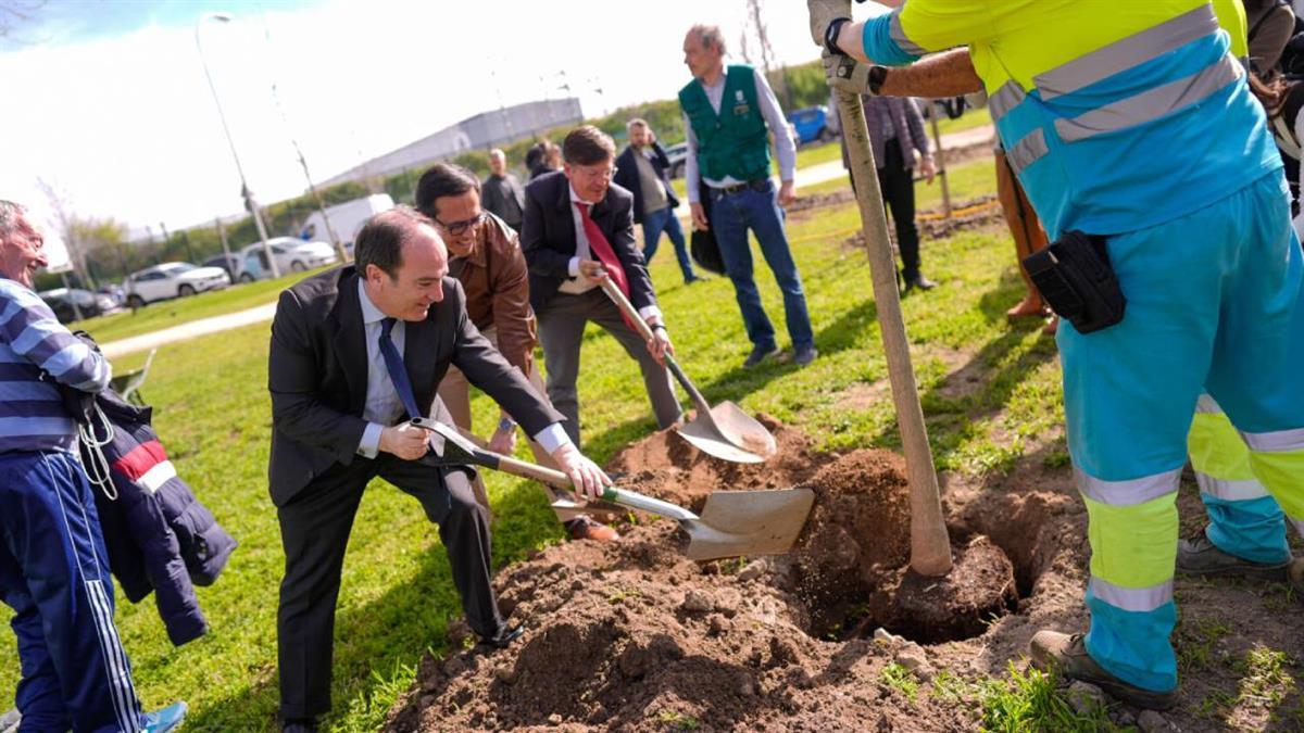 El Ayuntamiento de Madrid ha plantado 55 árboles en el parque de Madrid