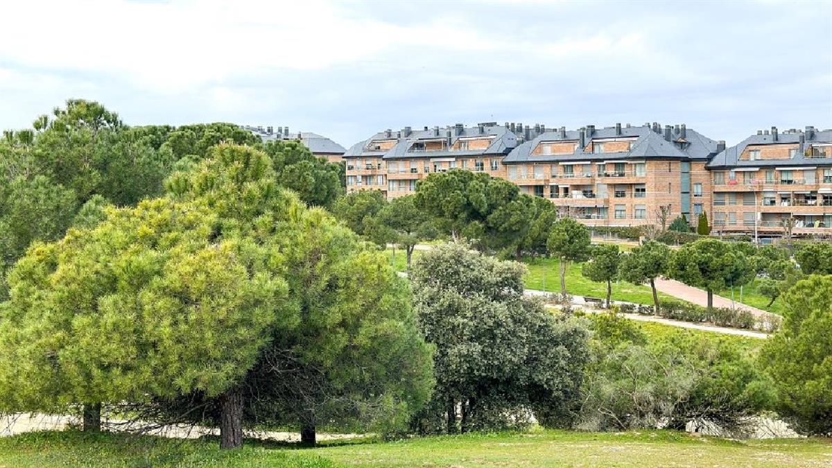 La mayor partida presupuestaria se destinará a la conservación de las zonas verdes y forestales 