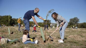 Se plantaron más de 5.000 árboles de diferentes especies autóctonas