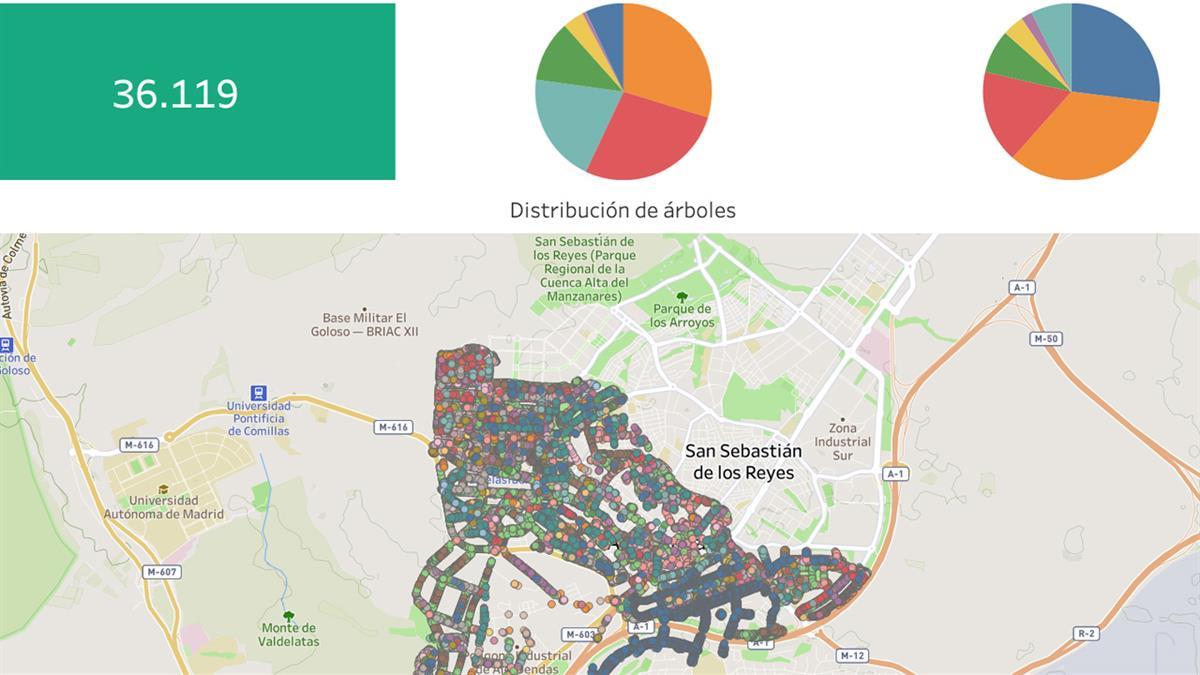 Ya se puede consultar la información en la web municipal sobre los ejemplares sembrados