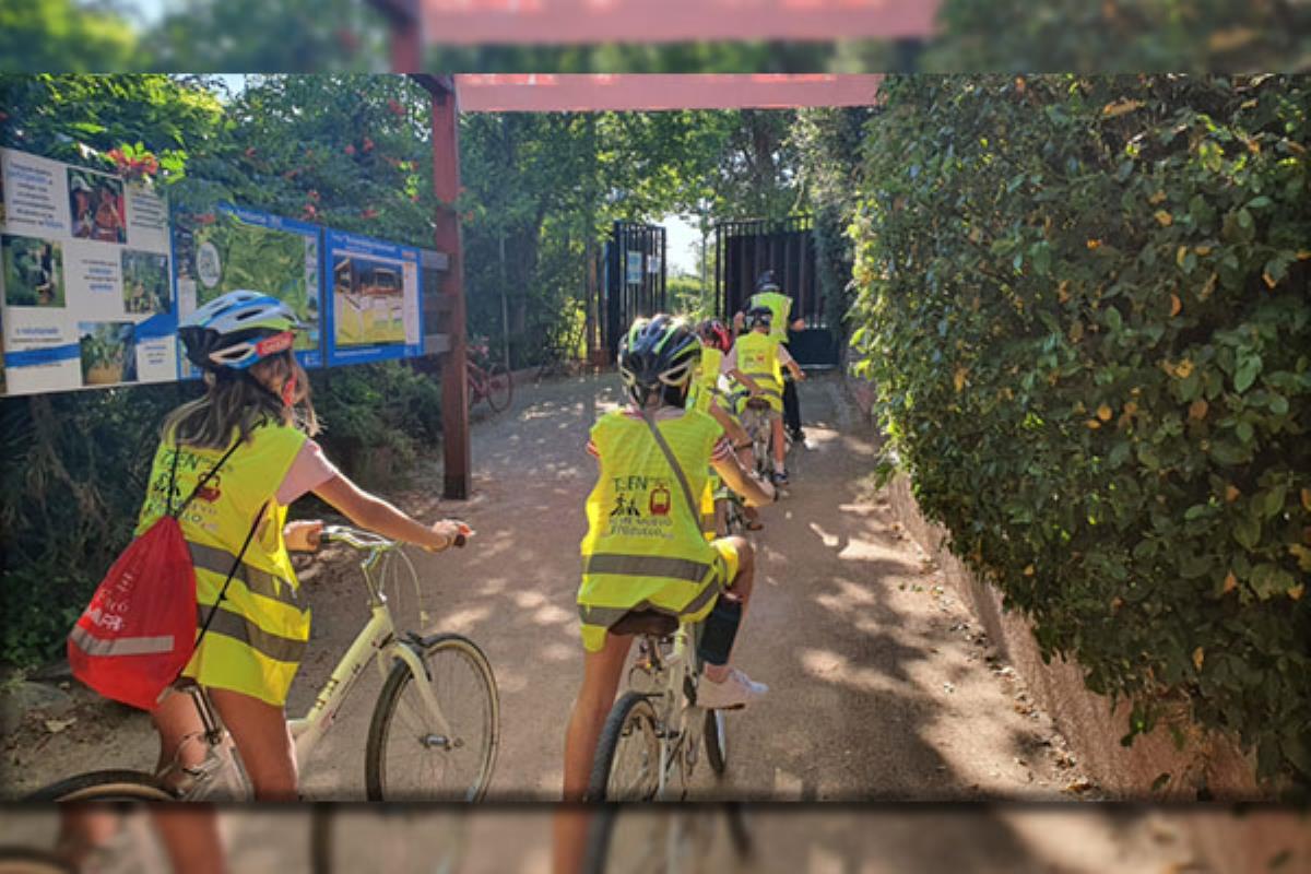 El Ayuntamiento de la localidad ha organizado estos campamentos con restricciones