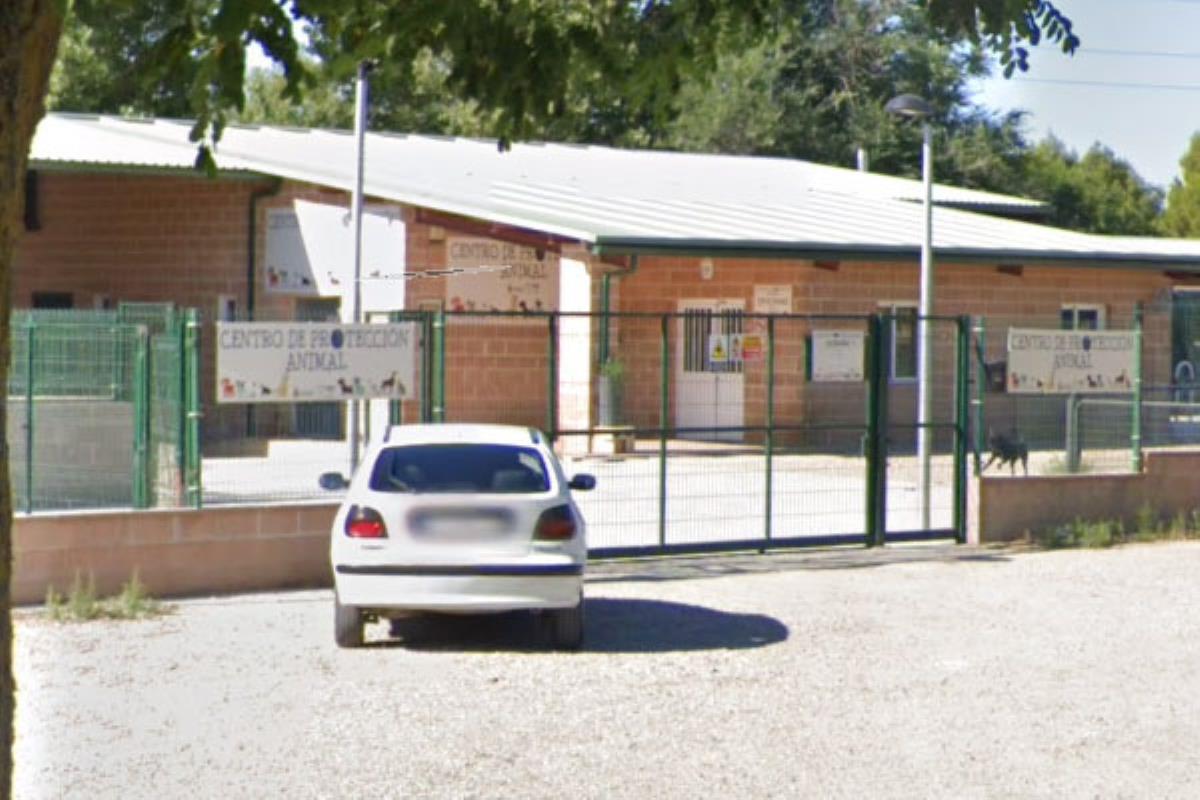 LYMA abastecerá a los animales del Centro de Protección Animal