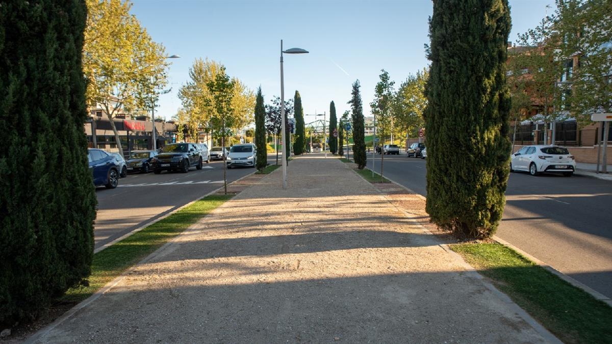 Estas especies, además de mejorar la imagen urbana, regulan la temperatura y reducen el efecto isla de calor 