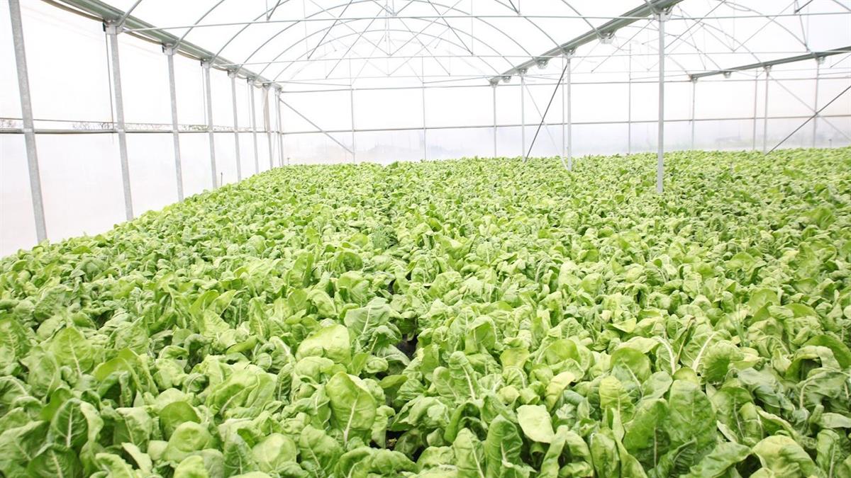 El Ayuntamiento ha conseguido fondos para un proyecto que durará 3 años y cuenta con 3,3 millones de euros